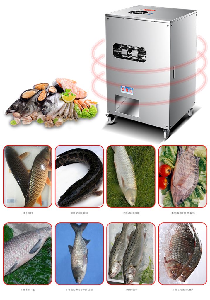 XZ-018 去鳞开肚杀鱼机 – aiboch艾博驰